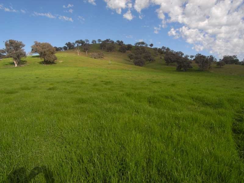5 Mile Creek Road, Gundagai NSW 2722