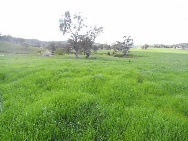 5 Mile Creek Road, Gundagai NSW 2722