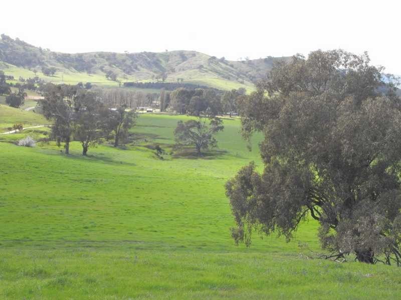 5 Mile Creek Road, Gundagai NSW 2722