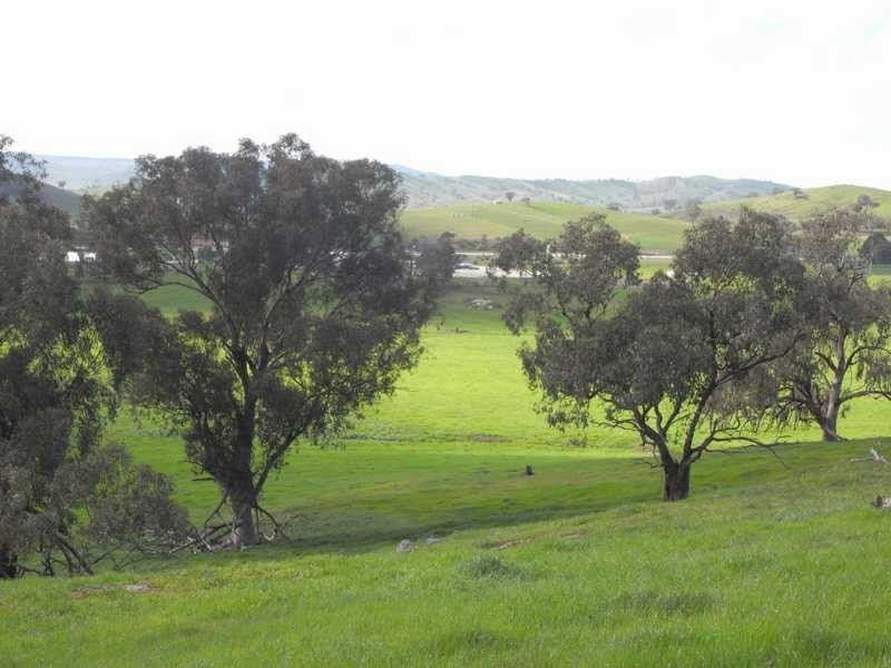5 Mile Creek Road, Gundagai NSW 2722
