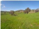 5 Mile Creek Road, Gundagai NSW 2722