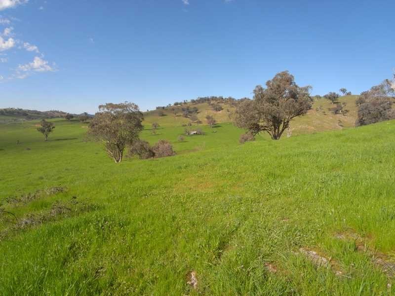 5 Mile Creek Road, Gundagai NSW 2722