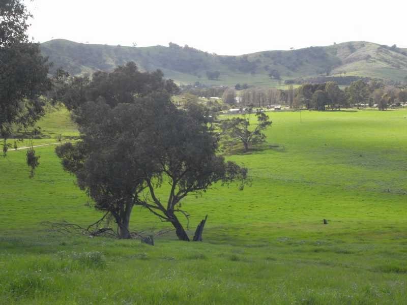 5 Mile Creek Road, Gundagai NSW 2722