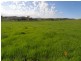 5 Mile Creek Road, Gundagai NSW 2722