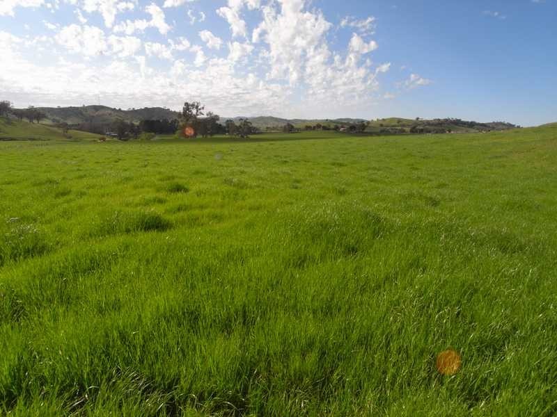 5 Mile Creek Road, Gundagai NSW 2722