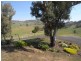 Lot/6 Stuckey’s Creek Estate, Tumut NSW 2720