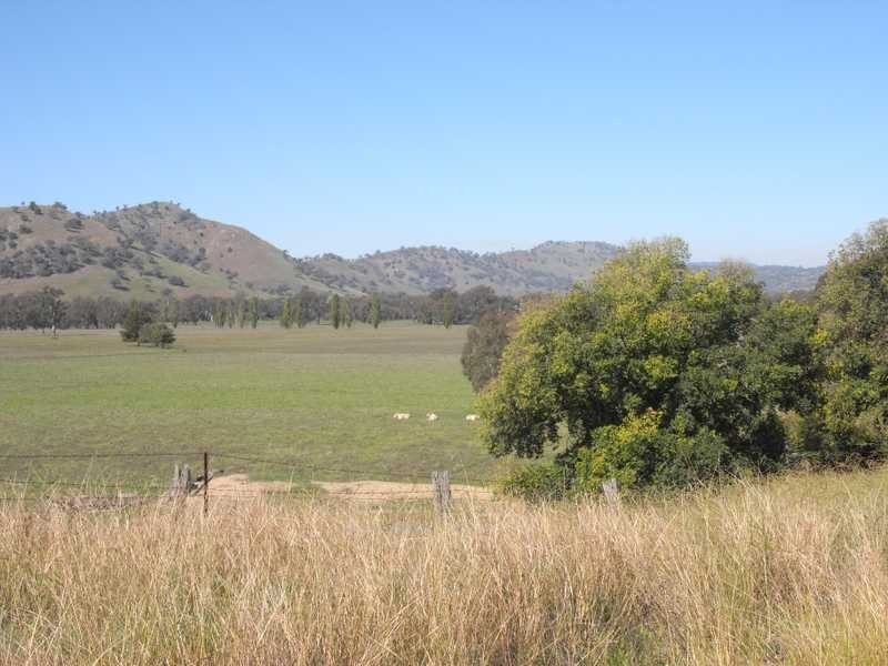 1044 Brungle Road, Gundagai NSW 2722