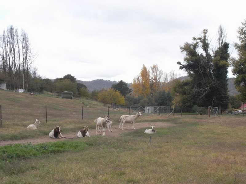 2/43 Victoria Hill Road, Adelong NSW 2729