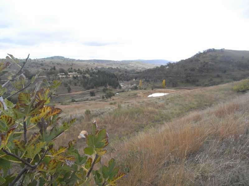 Lot/1193 Victoria Hill Road, Adelong NSW 2729