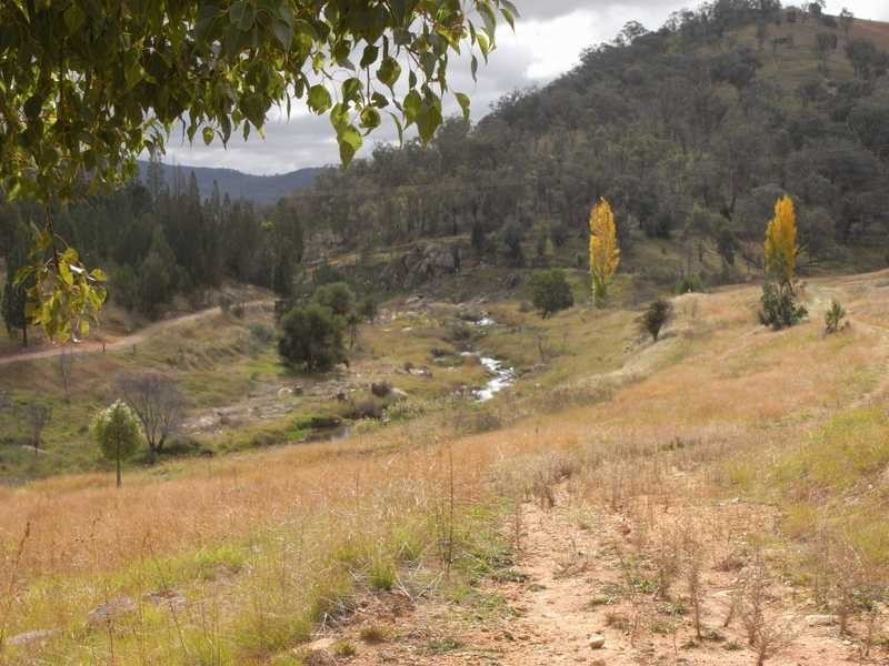 Lot/1193 Victoria Hill Road, Adelong NSW 2729