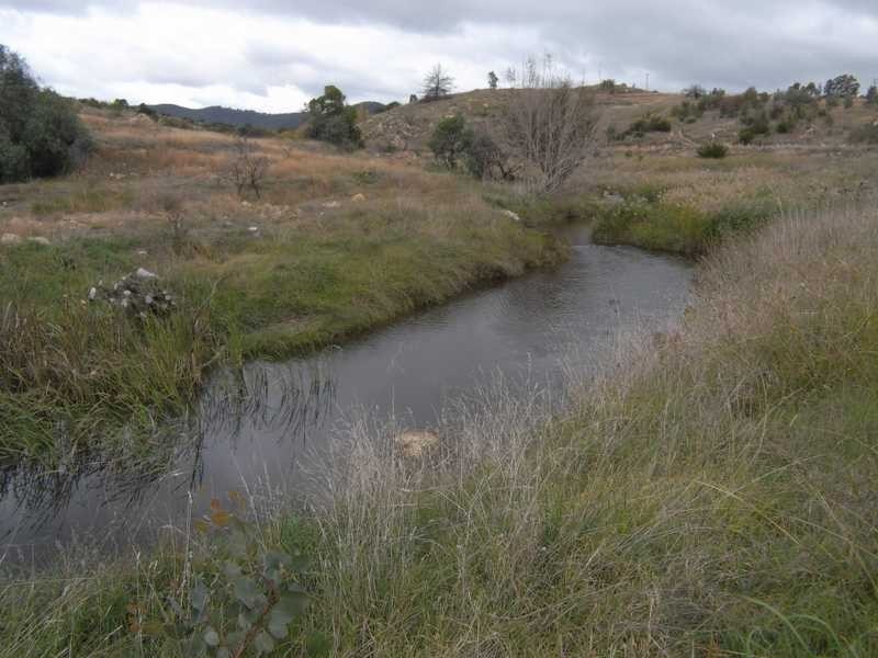 Lot/1193 Victoria Hill Road, Adelong NSW 2729