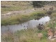 Lot/1193 Victoria Hill Road, Adelong NSW 2729