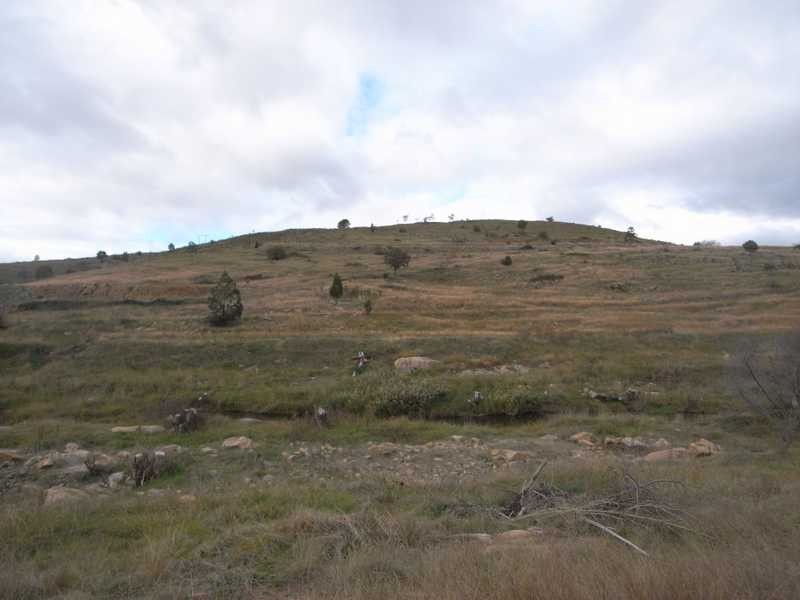 Lot/1193 Victoria Hill Road, Adelong NSW 2729