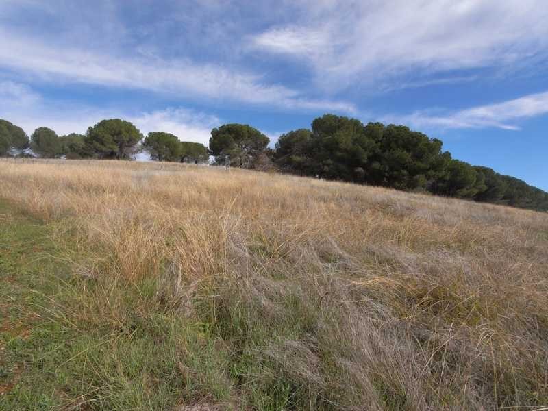 Lot/8 Gilmore Place, Gundagai NSW 2722