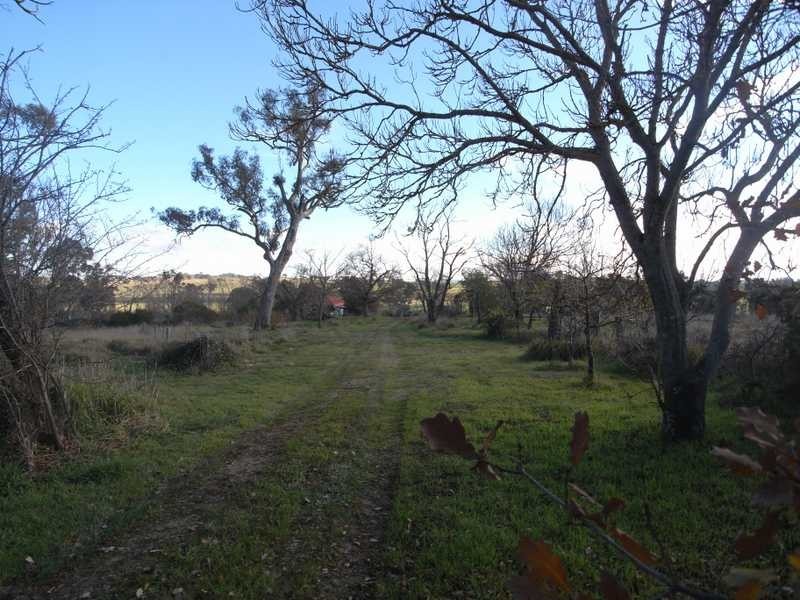 497 Humula Road, Humula NSW 2652