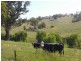 520 Darbalara Road, Gundagai NSW 2722