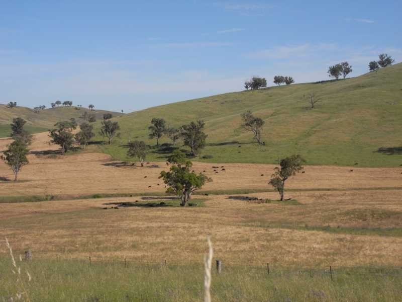 520 Darbalara Road, Gundagai NSW 2722