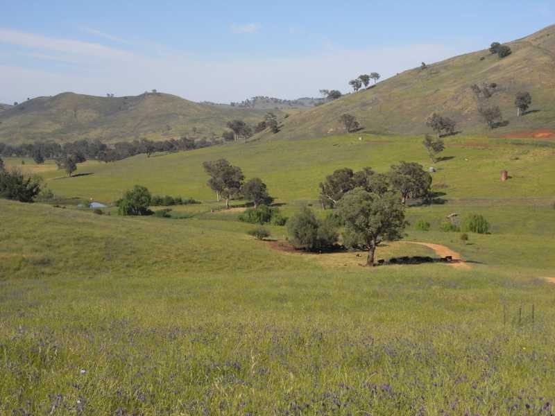 520 Darbalara Road, Gundagai NSW 2722