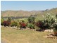 520 Darbalara Road, Gundagai NSW 2722