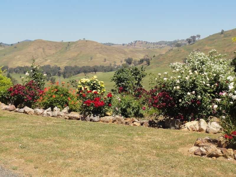 520 Darbalara Road, Gundagai NSW 2722