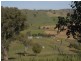 520 Darbalara Road, Gundagai NSW 2722
