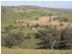 520 Darbalara Road, Gundagai NSW 2722