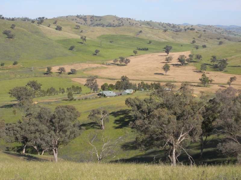 520 Darbalara Road, Gundagai NSW 2722