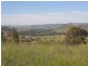 520 Darbalara Road, Gundagai NSW 2722