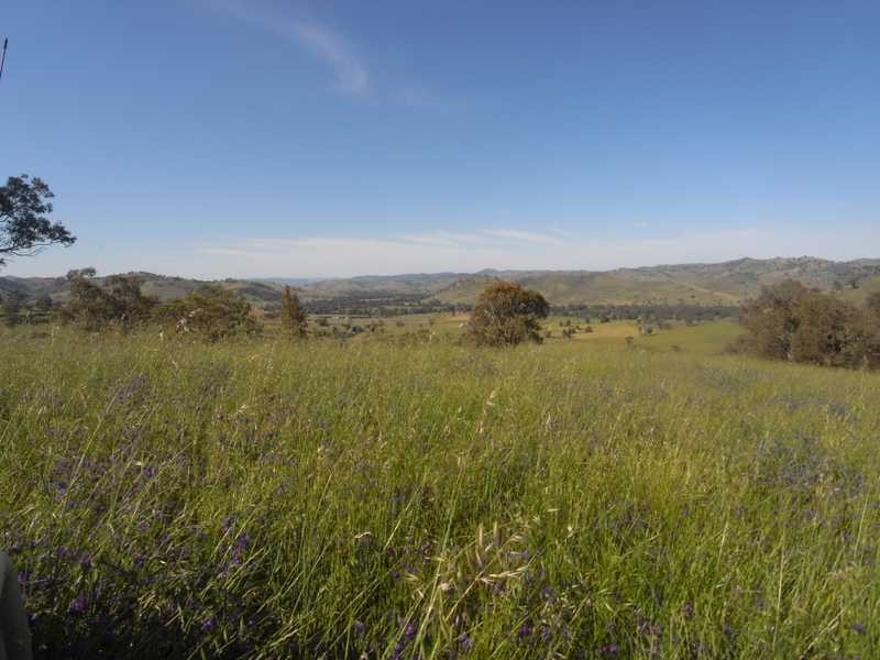 520 Darbalara Road, Gundagai NSW 2722