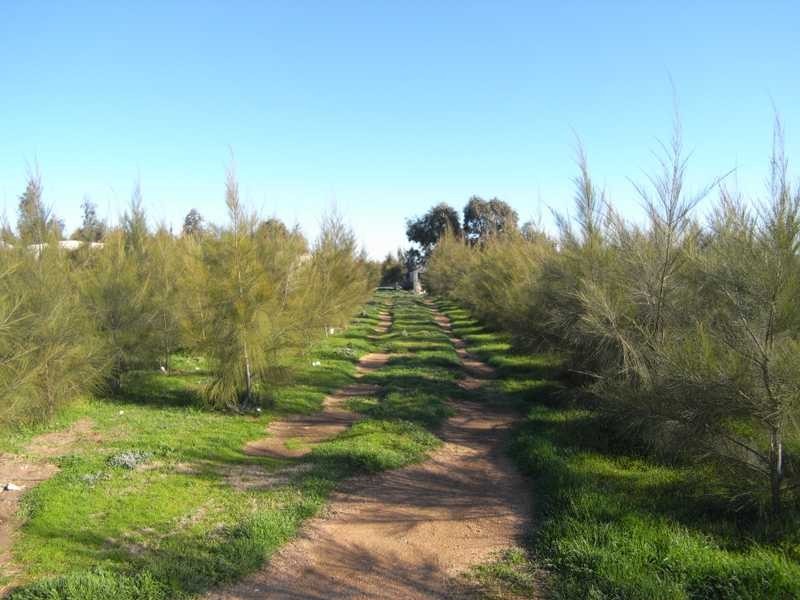 101 Hume Highway, Jugiong NSW 2726