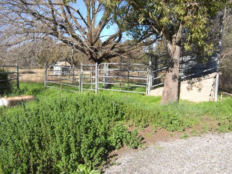 Lot 12/154 Punch Street, Gundagai NSW 2722