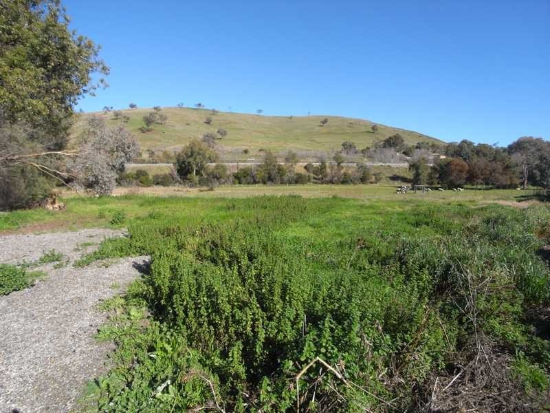 Lot 12/154 Punch Street, Gundagai NSW 2722