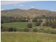 Lots 2 3 & 4 Hanley Street, Gundagai NSW 2722
