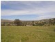 Lots 2 3 & 4 Hanley Street, Gundagai NSW 2722