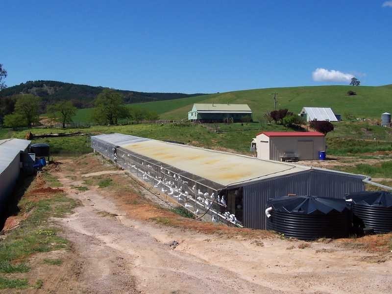 Montevideo Tumbarumba Road, Carabost NSW 2650