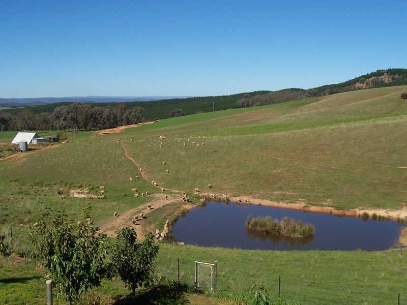 Montevideo Tumbarumba Road, Carabost NSW 2650