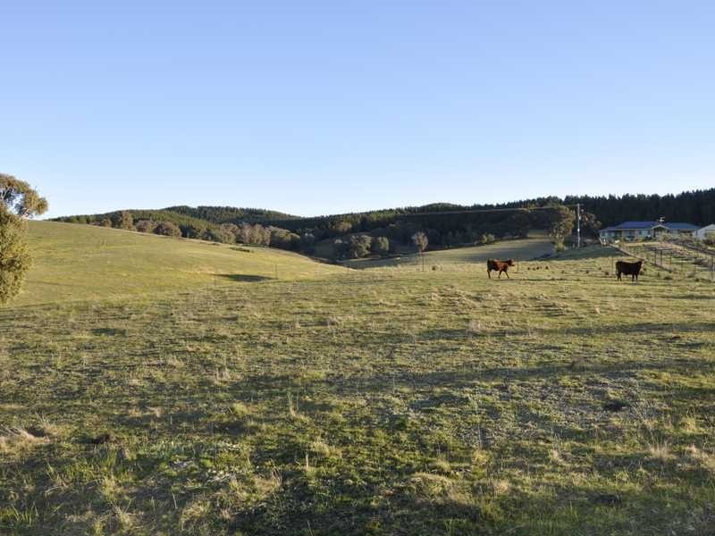 Montevideo Tumbarumba Road, Carabost NSW 2650