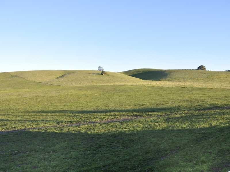 Montevideo Tumbarumba Road, Carabost NSW 2650