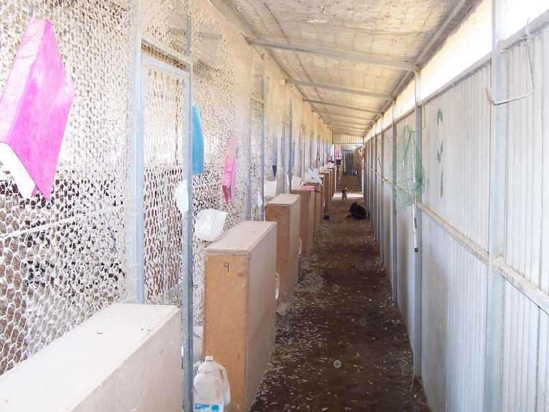 Montevideo Tumbarumba Road, Carabost NSW 2650