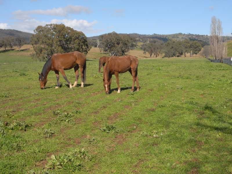 4 Adelong Road, Tumblong NSW 2729