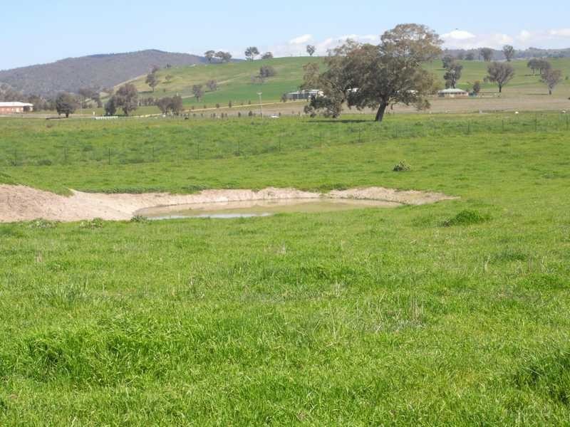 Tip Top Adelong Road, Tumblong NSW 2729