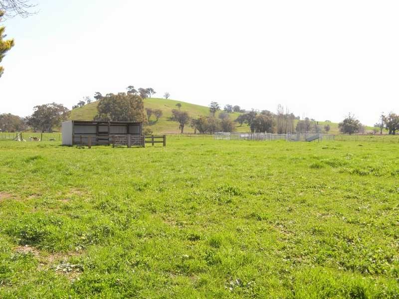 1891 Adelong Road, Tumblong NSW 2729