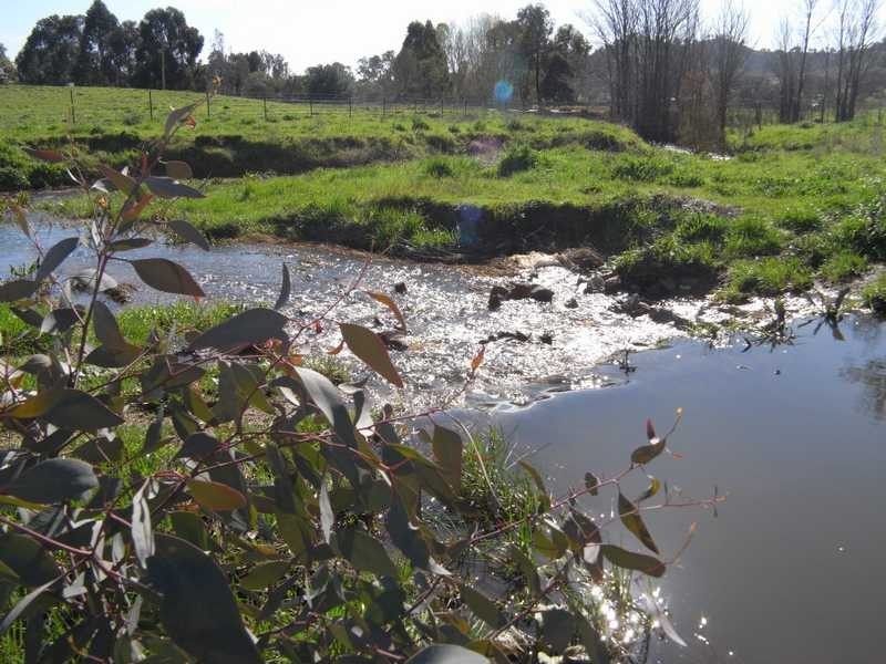 1891 Adelong Road, Tumblong NSW 2729