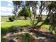 1891 Adelong Road, Tumblong NSW 2729