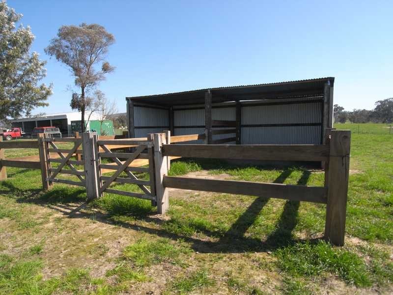 1891 Adelong Road, Tumblong NSW 2729