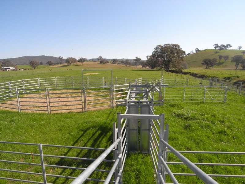 1891 Adelong Road, Tumblong NSW 2729