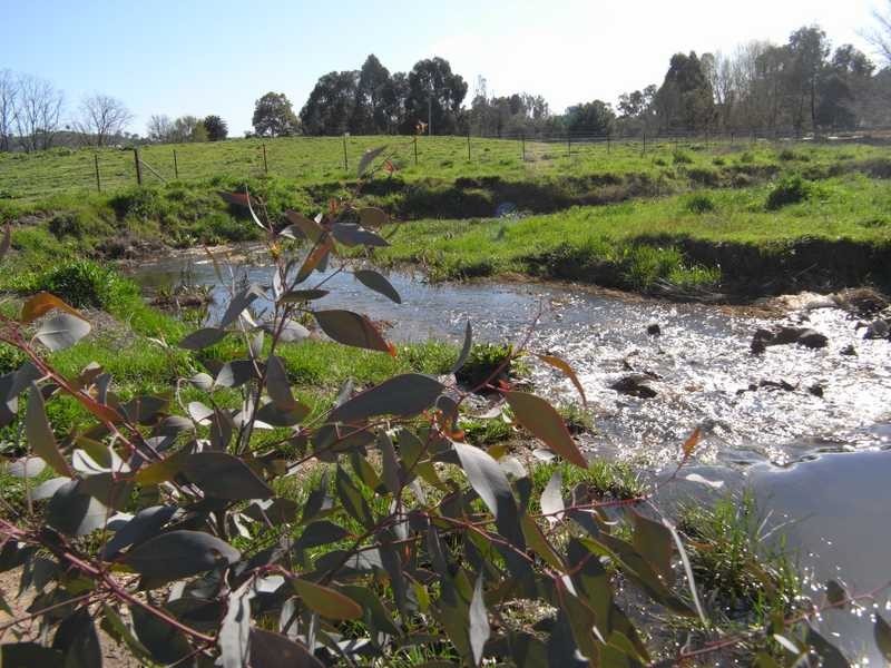 1891 Adelong Road, Tumblong NSW 2729