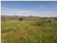 1771 Darbalara Road, Gundagai NSW 2722