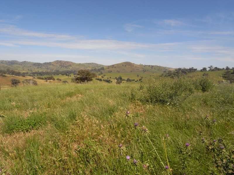 1771 Darbalara Road, Gundagai NSW 2722