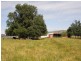 1771 Darbalara Road, Gundagai NSW 2722